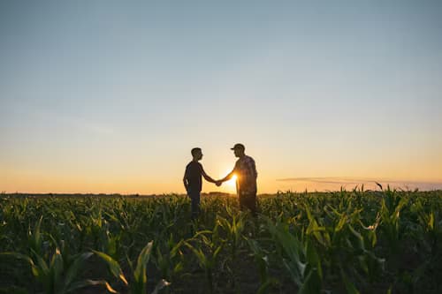 Landowner and hunter on New Zealand farmland