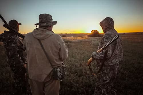 New Zealand farm livestock and crops